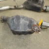 18-23-dodge-durango-srt-8-64l-oem-exhaust-mufflers-2-left-right-1692634 18-23 Dodge Durango SRT-8 6.4L OEM Exhaust Mufflers (2) Left / Right