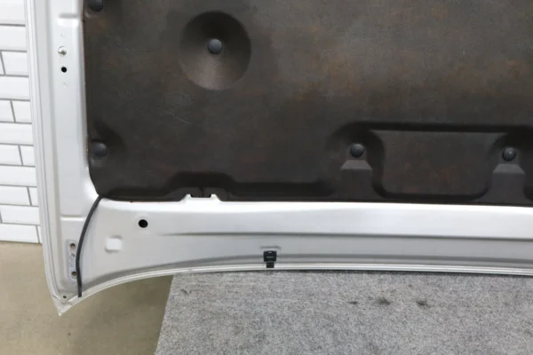 57_029faaae-52ee-42d0-bf24-ddf4e2b60342 2012 Lexus GX460 Hood