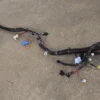 57_178a83e6-f25f-47f0-9af1-be98690b41bc 2001 Chevrolet Camaro SS Convertible - Body Wiring Harness OEM