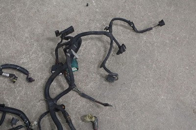 57_3b48350c-0685-4733-bf8b-9f333691179f 2003 Ford 6.0L Powerstroke Diesel Engine Wiring Harness Complete OEM