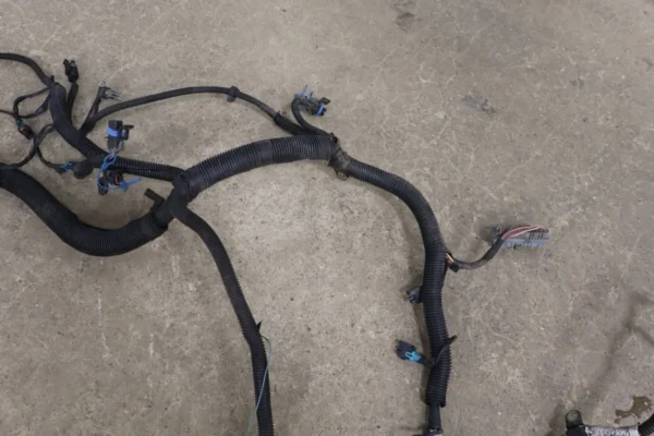 57_6716d1f3-6893-4b13-a20e-99a5e2853c98 2001 Pontiac Firebird 3.8L 3800 Engine Wiring Harness OEM
