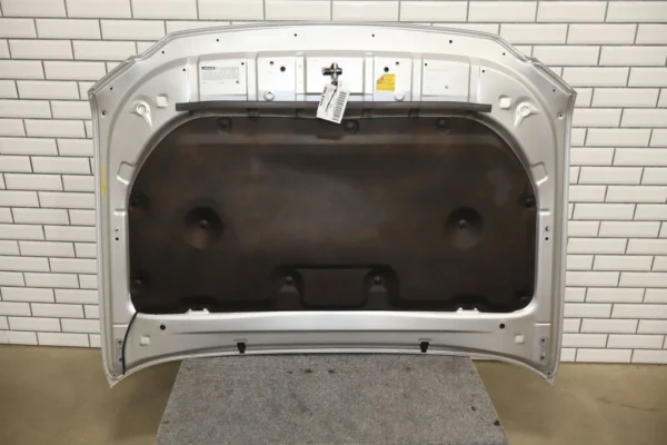 57_6b4ee596-2932-4597-b0af-a2fea2277d74 2012 Lexus GX460 Hood