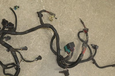 57_731e99ee-1b22-4613-a0b2-123226d2d417 2003 Ford 6.0L Powerstroke Diesel Engine Wiring Harness Complete OEM