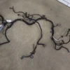 57_751b3a0b-c080-4e73-888b-e7f3f7ecfeec (1) 2001 Pontiac Firebird 3.8L 3800 Engine Wiring Harness OEM
