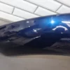 57_765965d8-4867-4de8-8a39-21d2cdd71ca1 98-05 VW Volkswagen Beetle Convertible Passenger Right RH Fender (Royal Navy 7W)