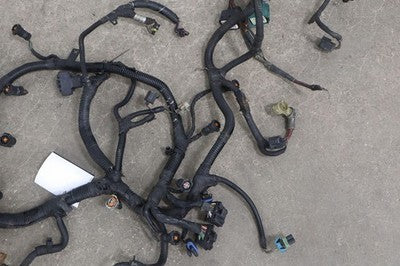 57_98d45328-6cd5-456b-8ab8-3d88f9e776a8 2003 Ford 6.0L Powerstroke Diesel Engine Wiring Harness Complete OEM