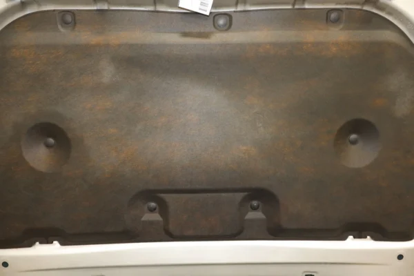 57_b2f98299-5e7d-4968-b851-334aa66f16b7 2012 Lexus GX460 Hood