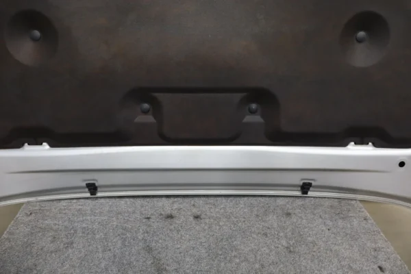 57_c6a51adc-26e6-4847-bc74-203dae493582 2012 Lexus GX460 Hood