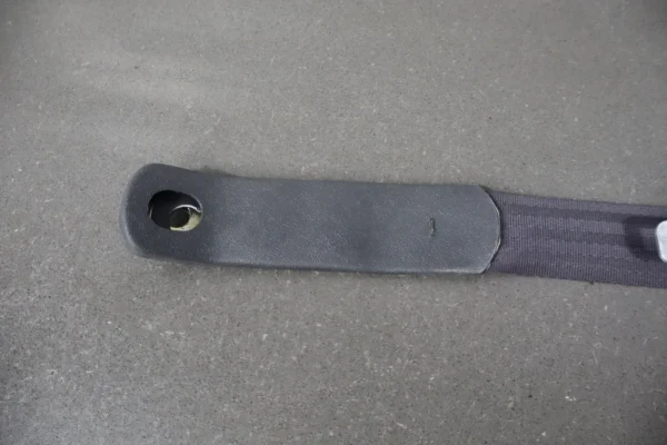 57_cb54aaa8-158e-4fe7-8a90-fa181162b3d0 1998-2002 Pontiac Firebird Coupe- Left Front Seat Belt Light Gray