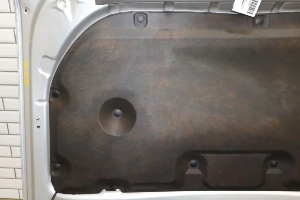 57_df848f05-9700-47cf-abcf-5c561e9e6a1f 2012 Lexus GX460 Hood