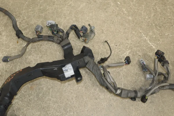 57_f30bd6ea-70a1-4868-bfd5-66cb191a79a2 05/2005-2007 Toyota Land Cruiser 4.7L V8 2UZFE Engine Wiring Harness