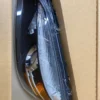 s-l1600 (22) New Genuine Chevrolet Caprice Includes PPV Pair of Headlamps