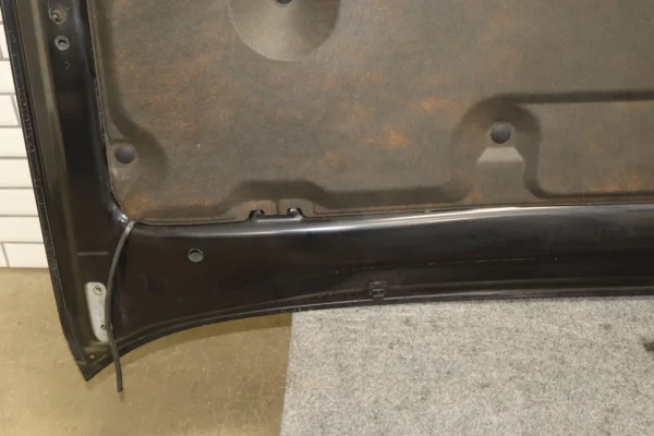 web_22e001b9-8c97-452f-85b2-9c628b6ae7bf 2011 Lexus GX460 Hood