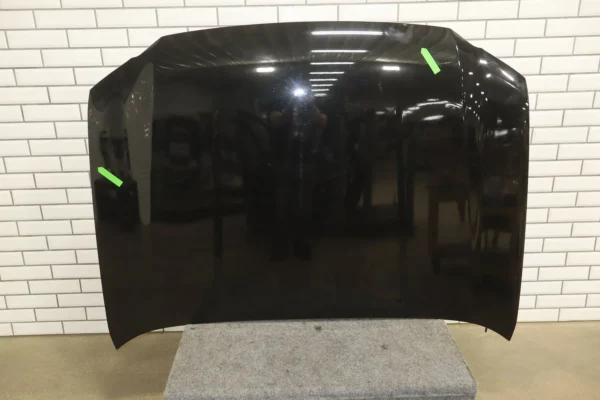 web_4a791dab-caa5-4a47-8794-1fe2da06a2ec 2011 Lexus GX460 Hood