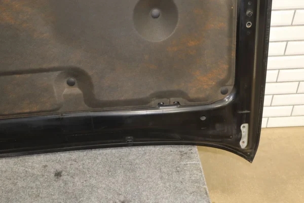 web_c0c3d24b-4222-4de6-b492-2b2101e420bf 2011 Lexus GX460 Hood