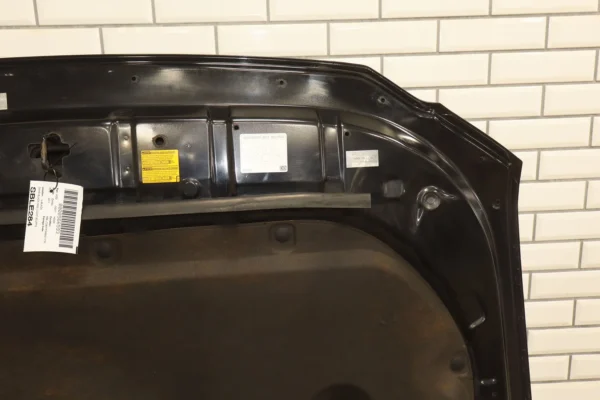 web_c1be5450-8dd3-45c8-8c82-b37eb6574134 2011 Lexus GX460 Hood