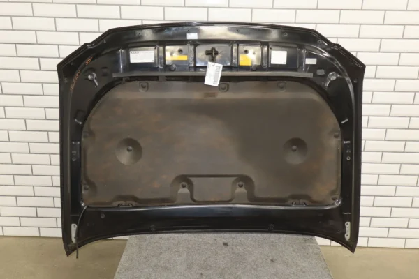web_c631c9ed-83e3-45b4-927b-1f5066852155 2011 Lexus GX460 Hood